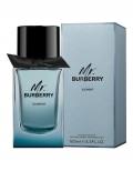 Mr. Burberry  Element