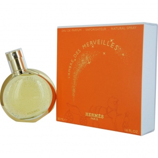 L`Ambre des Merveilles