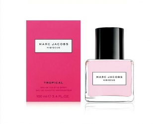 Tropical Hibiscus