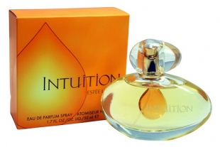 Intuition