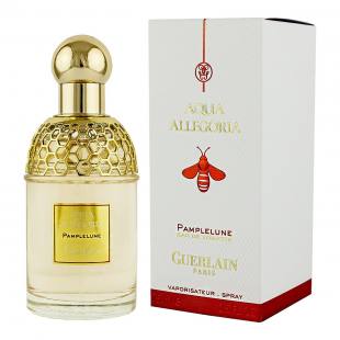 Aqua Allegoria Pamplelune