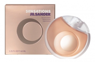 Sander Sensations