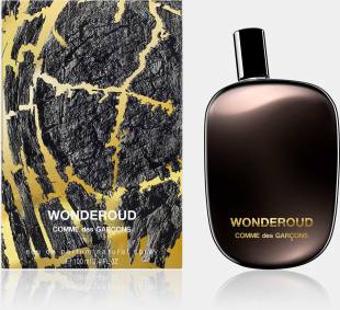Wonderoud Comme des Garcons
